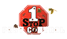 1 Stop Pest Control | Extreminators Ants Rodents, Wasps, Bees, Yellow Jackets Bed Bugs Mice Albany Capital Region